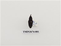 藏品(象鼻蟲(2))的圖片